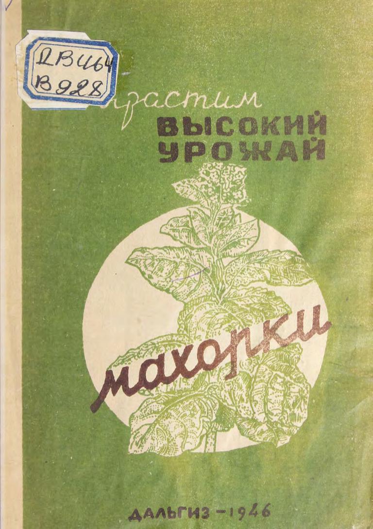 Вырастим высокие урожаи махорки