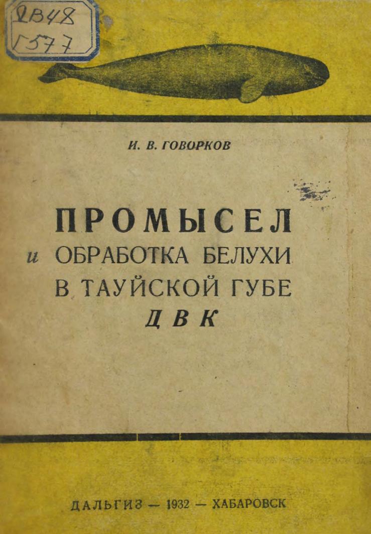 Промысел и обработка белухи в Тауйской Губе ДВК